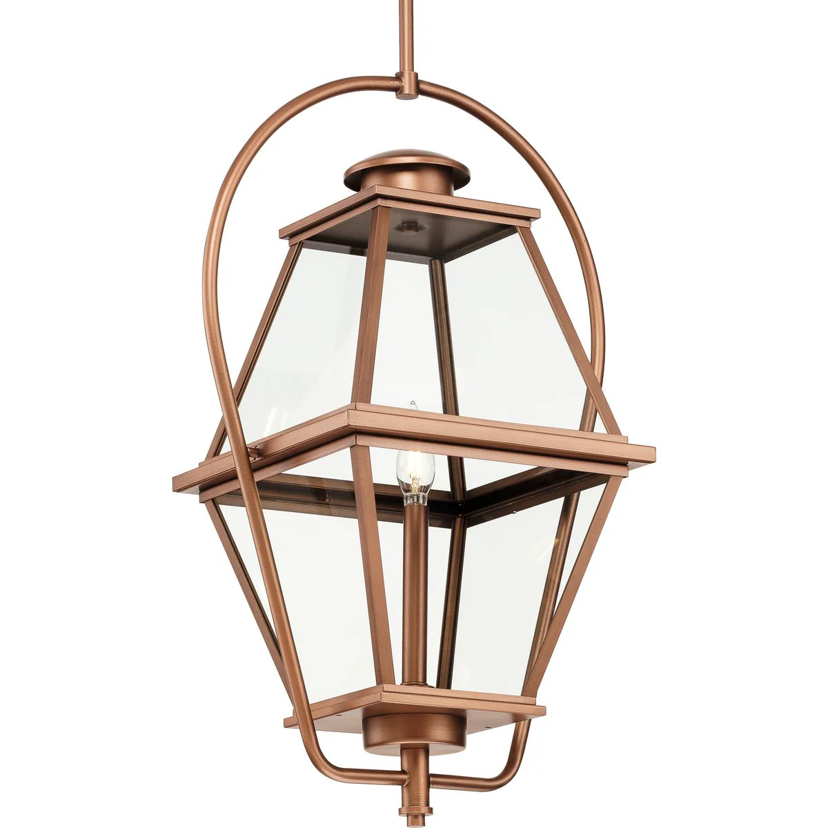 Bradshaw Collection One-Light Clear Glass Outdoor Hanging Lantern - Image 3