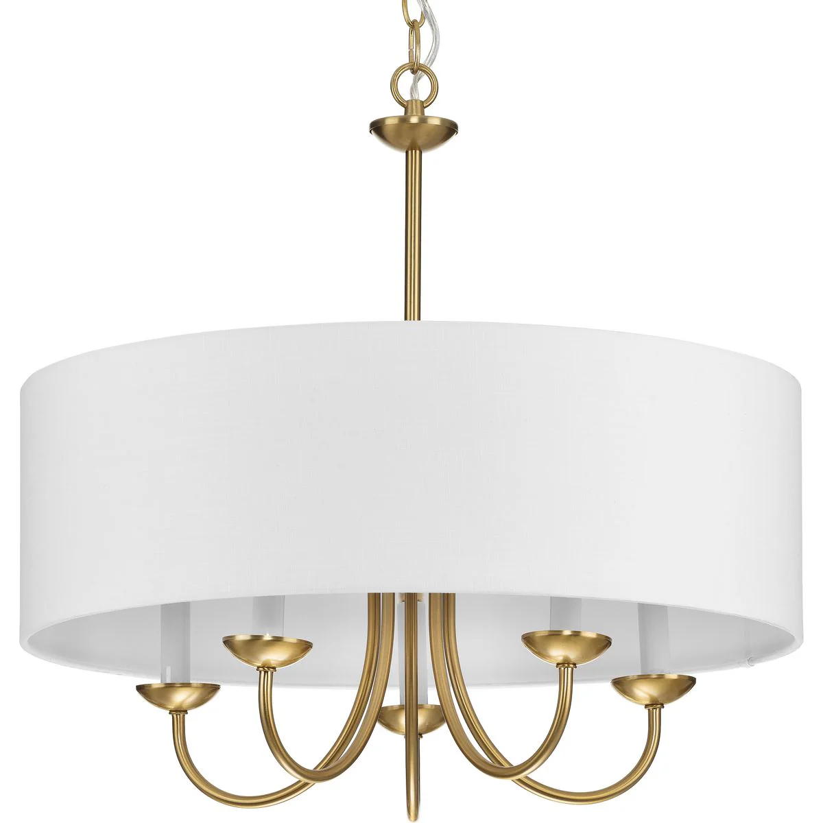 Drum Shade Collection Five-Light Chandelier Light - Image 3