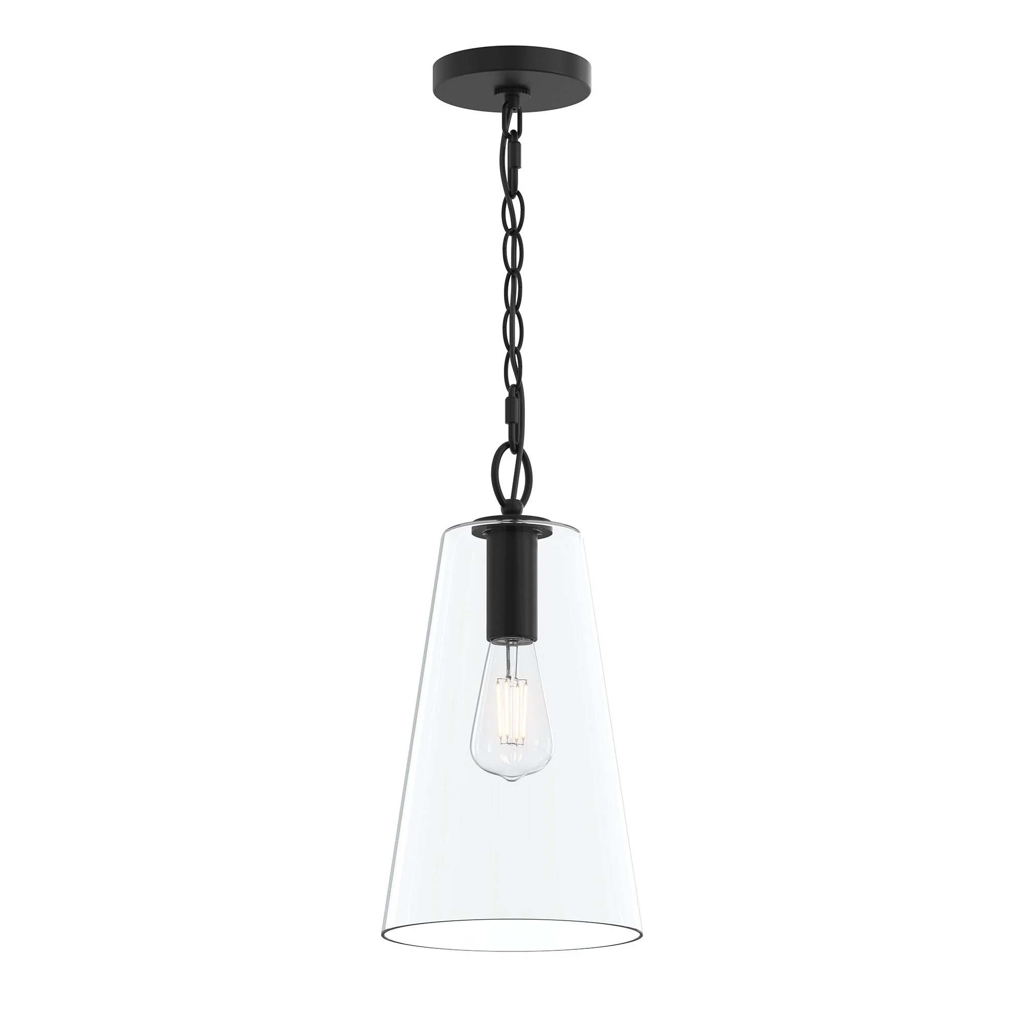 Jheni One-Light  Pendant with Clear Glass Shade