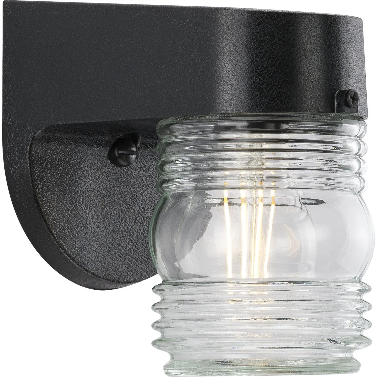 Non-Metallic Incandescent One-Light Outdoor Wall Lantern P5612