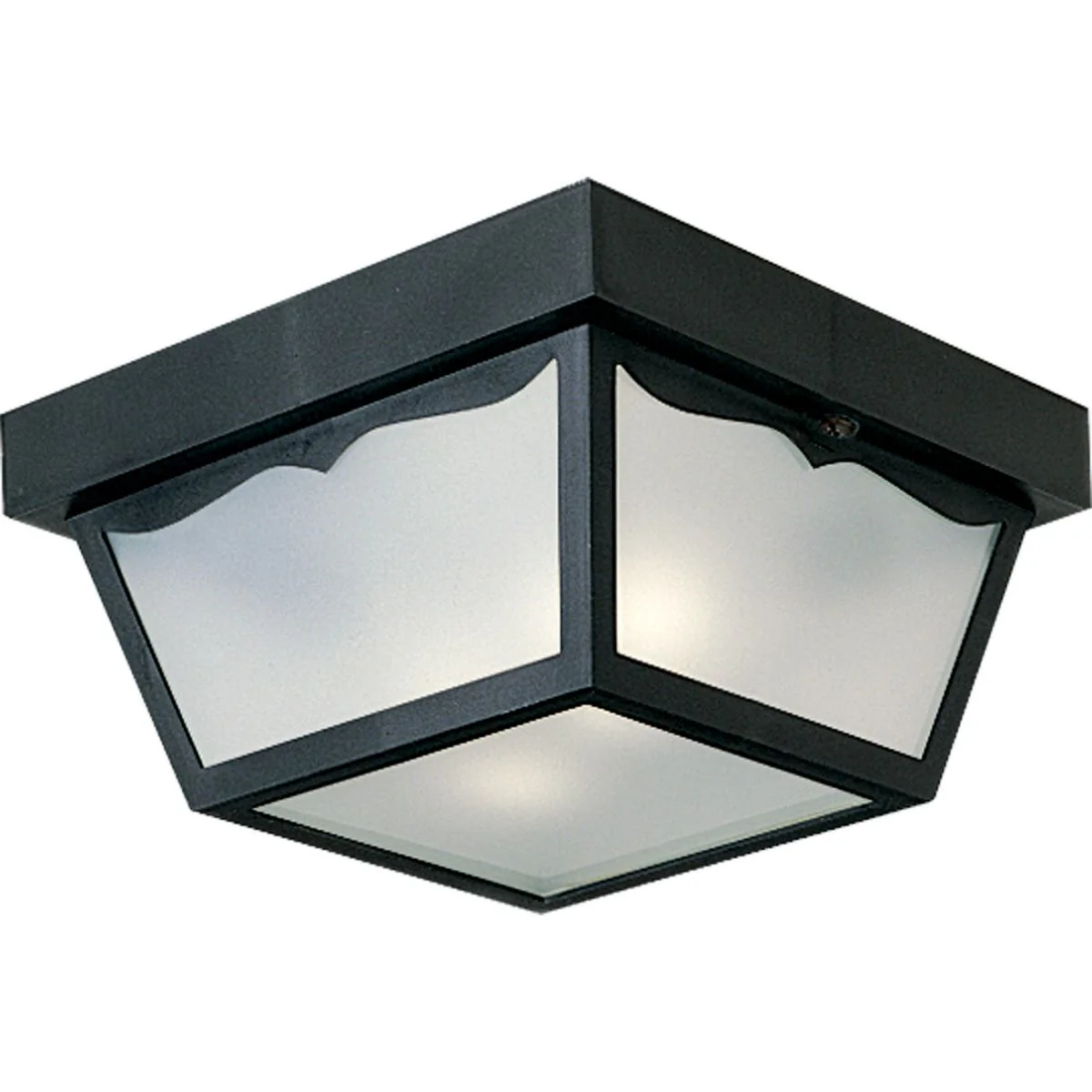 Two-Light 10-1/4" Flush Mount for Indoor/Outdoor use - Image 2