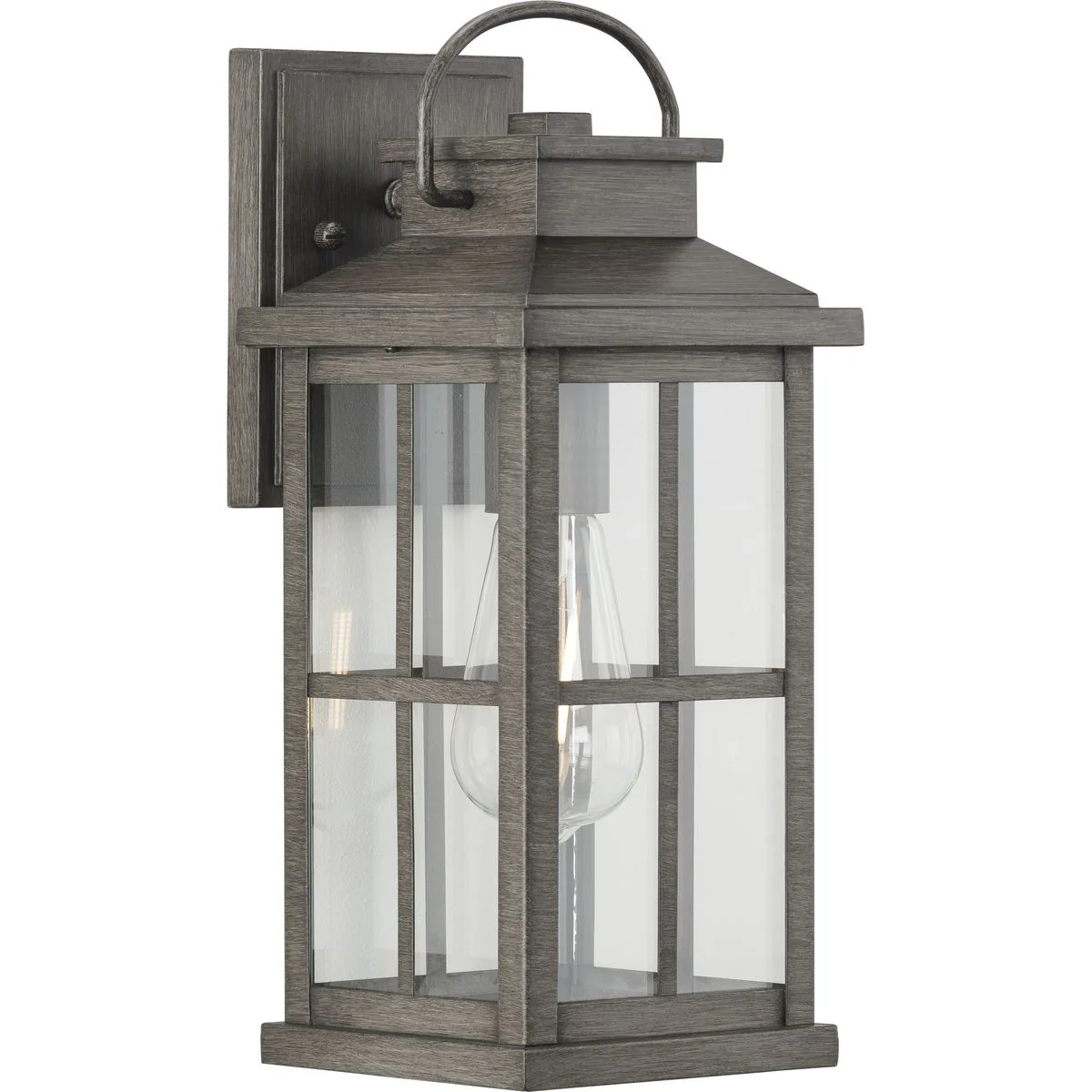 Williamston Collection One-Light Clear Glass Medium Outdoor Wall Lantern - Image 4