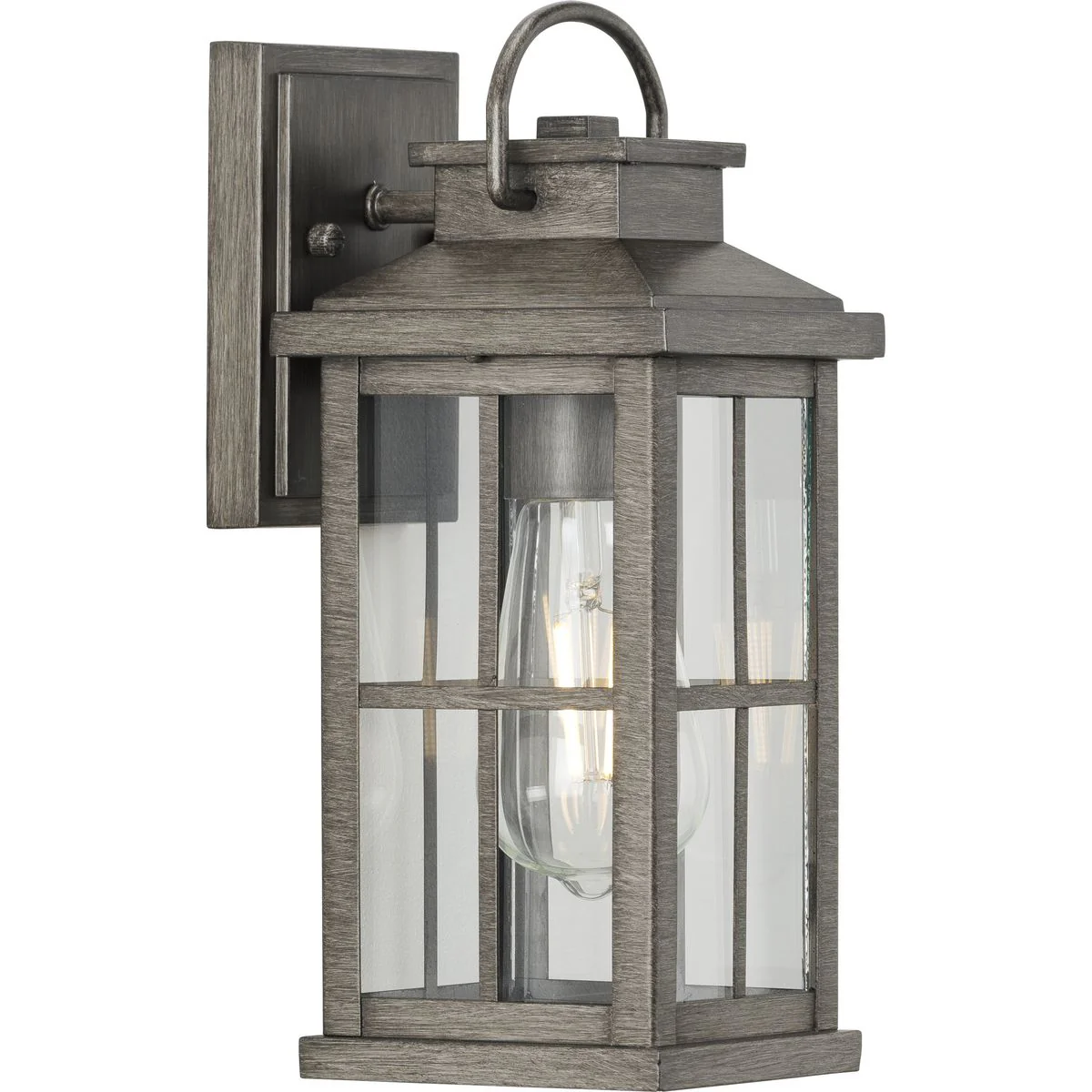 Williamston Collection One-Light Clear Glass Small Outdoor Wall Lantern